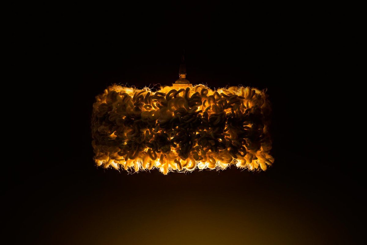 Lumenest Lighting Series