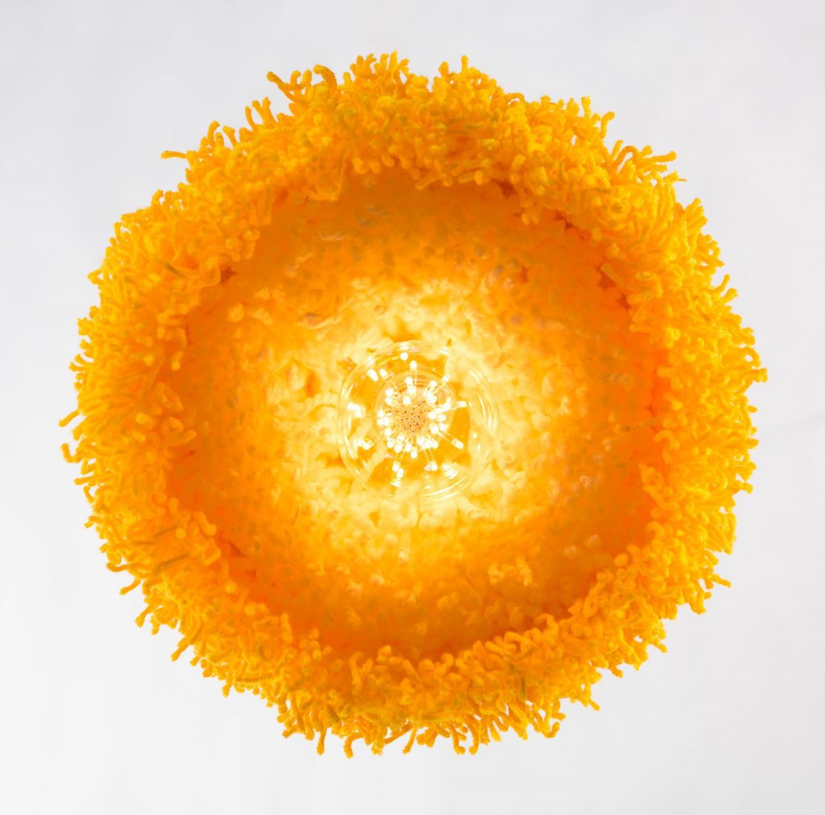 Sunbloom Lighting Series