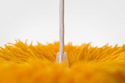 Sunbloom Lighting Series