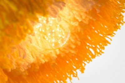 Sunbloom Lighting Series