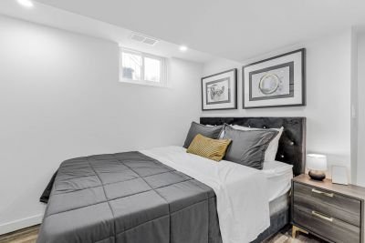 Urban Red Contrast Suite