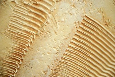 Egyptian Bas-Relief Art