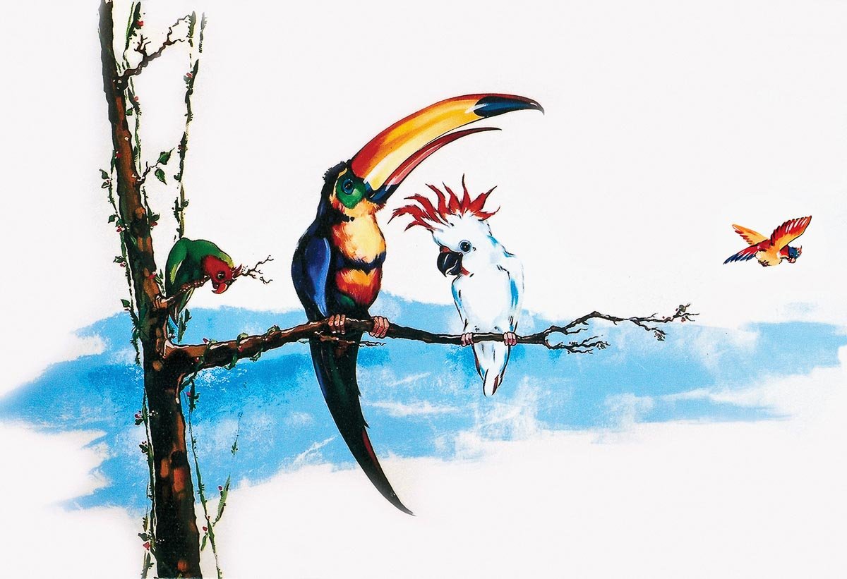 Wall Murals for Kids & Teens